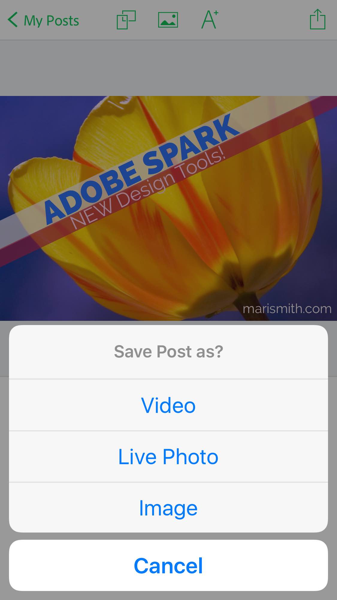 adobe spark download preview