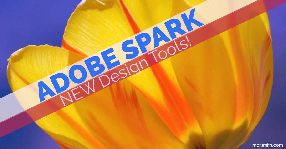 adobe spark new design tools 