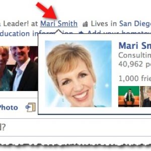 Facebook Fan Page Hover Card Mari Smith