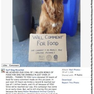 Surf Dog Ricochet and Iams Pet Food - Facebook Post