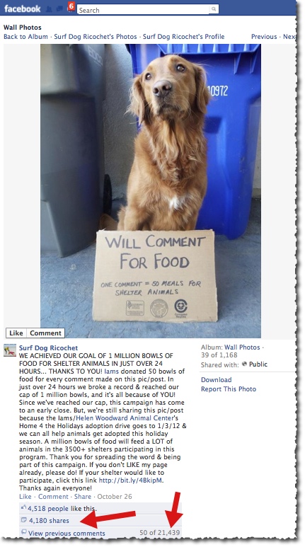 Surf Dog Ricochet and Iams Pet Food - Facebook Post