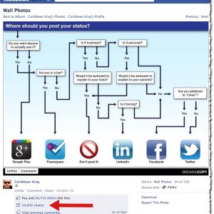 Social Network Flow Chart by BreakingCopy.com