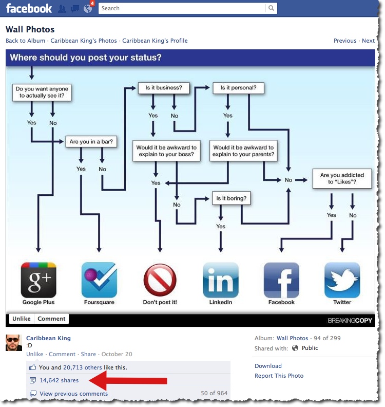 Social Network Flow Chart by BreakingCopy.com