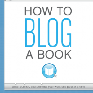How To Blog A Book - Nina Amir