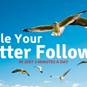Double Your Twitter Followers in 5 Minutes A Day