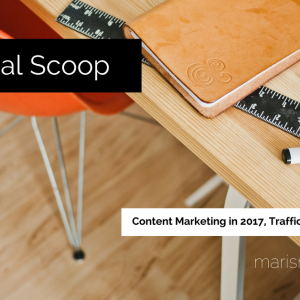 mari smith the social scoop