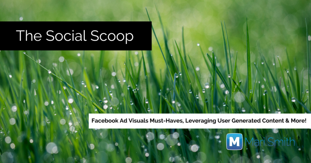 The Social Scoop 530